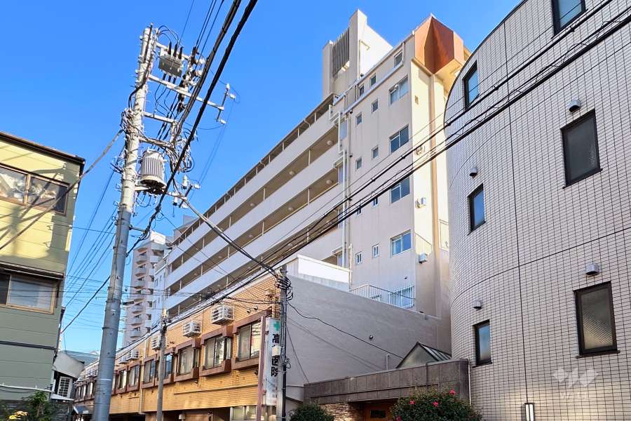 ハイネス野方の外観（北西側から）