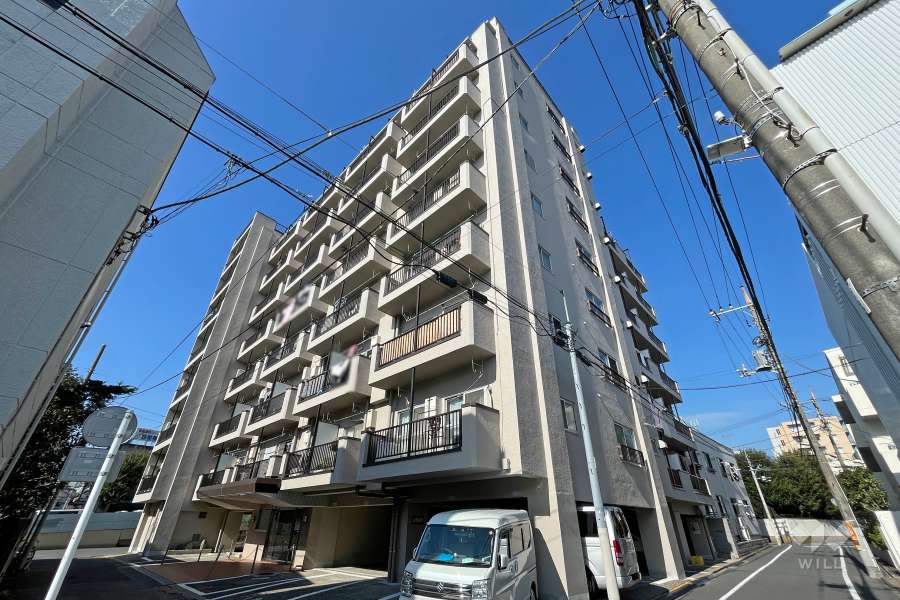 中野ハイツ（中野区）の外観（南東側から）