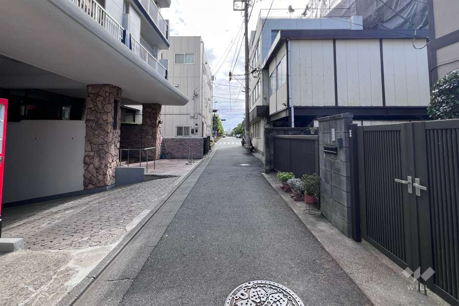 敷地の西側前面道路（北側から）