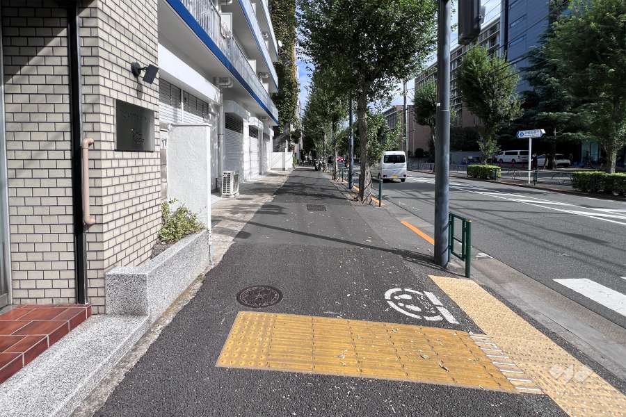敷地の南側前面道路（西側から）
