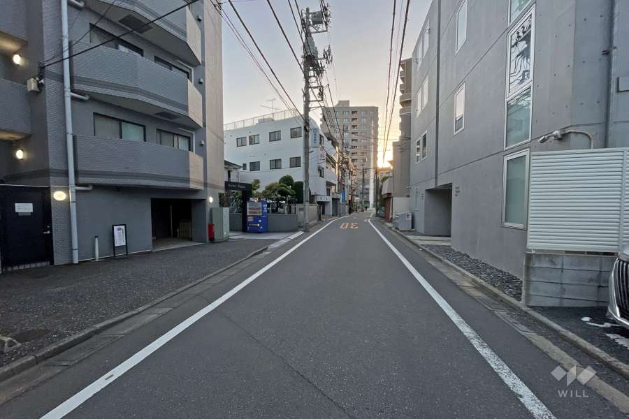 敷地北側の前面道路（東側から）