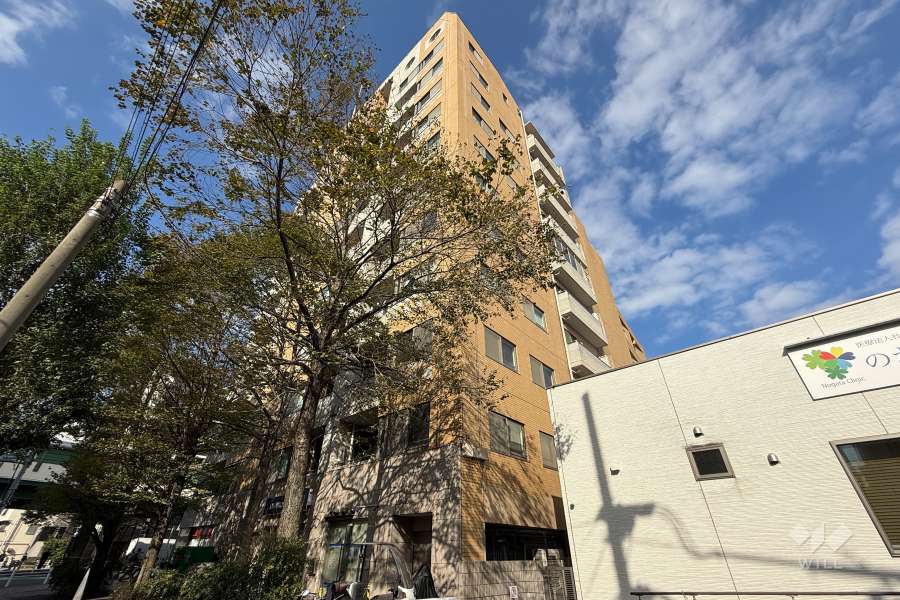 グラーサ中野アルティストの外観（南東側から）