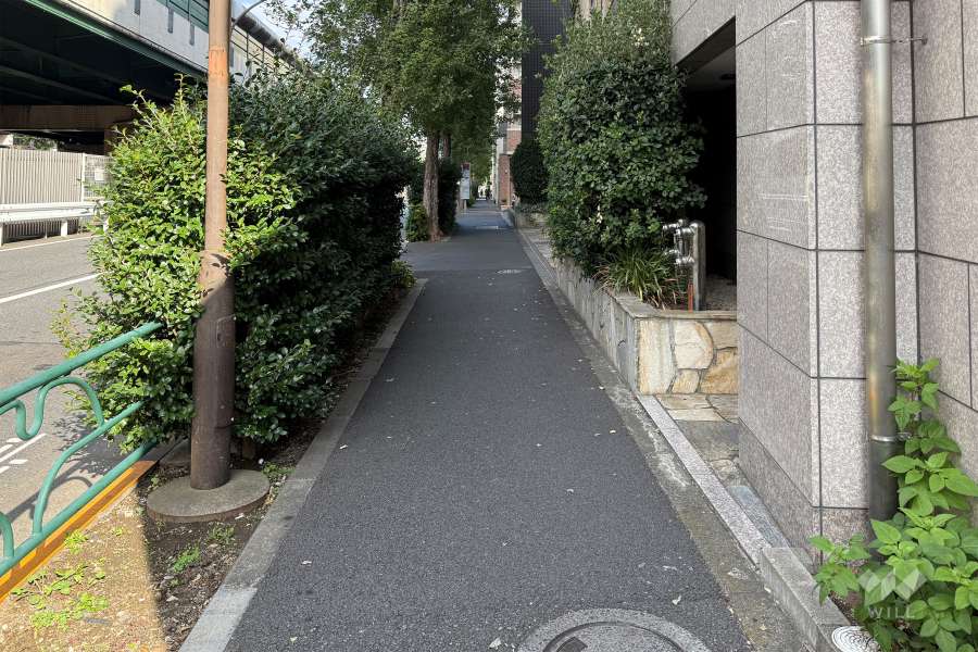 敷地の西側前面道路（南側から）