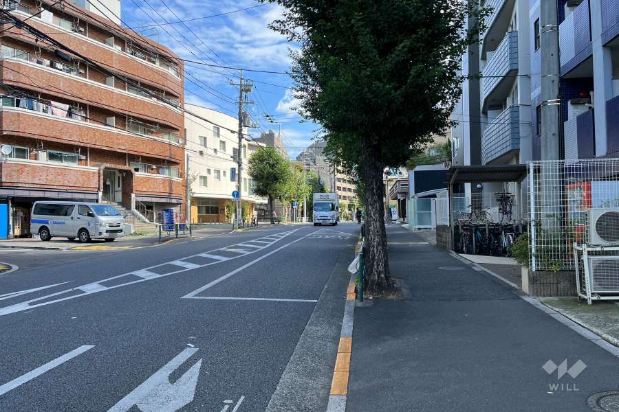 敷地の南側前面道路（西側から）