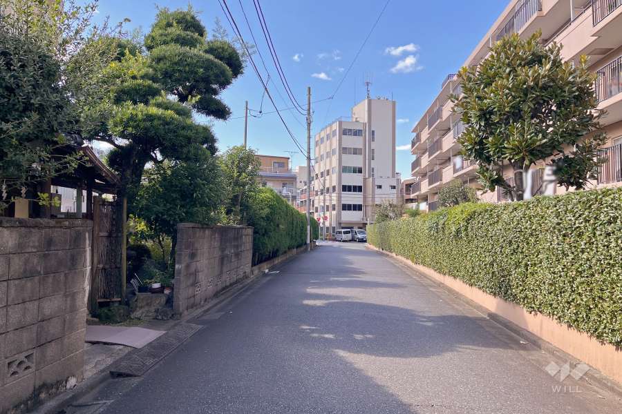 敷地南側の前面道路（東側から）
