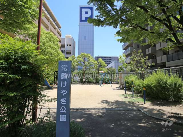 敷地南側にある『常磐けやき公園』