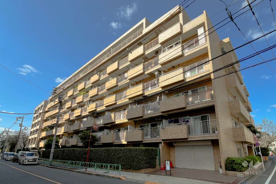 中野弥生町ハウスの外観（南東側から）