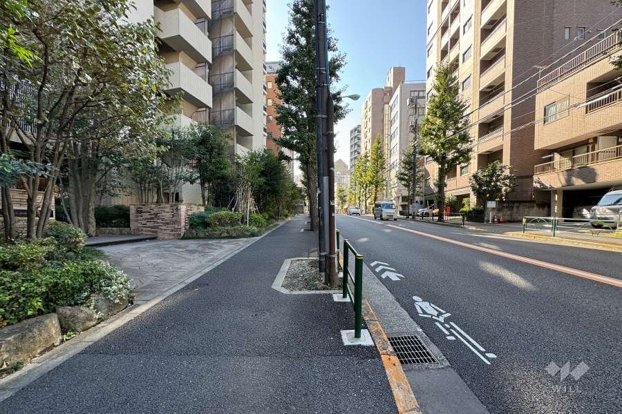 敷地西側の前面道路