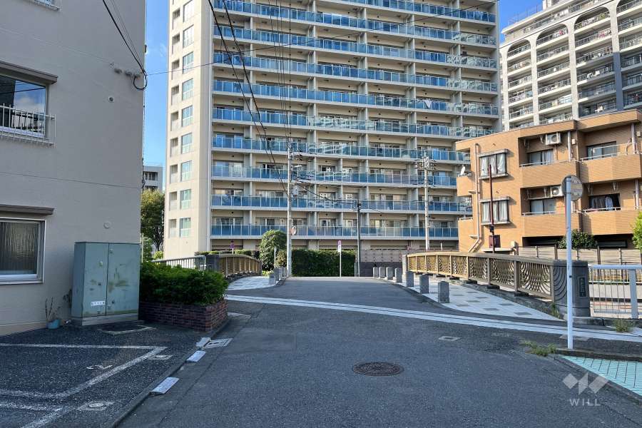 敷地の東側前面道路（南側から）