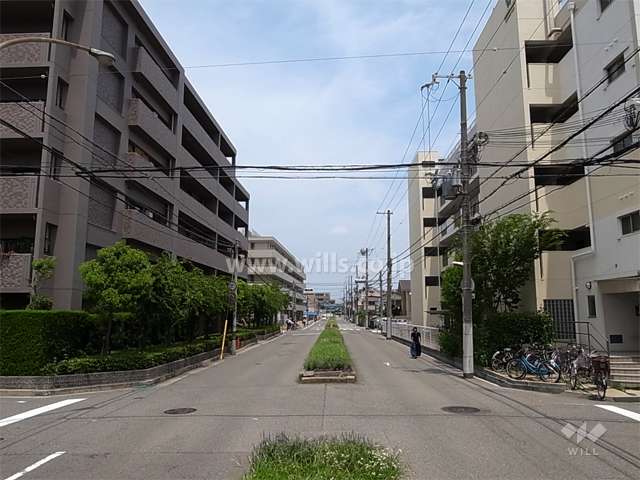 敷地東側の前面道路