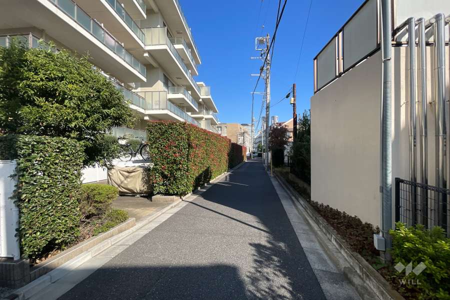 敷地の南側前面道路（西側から）