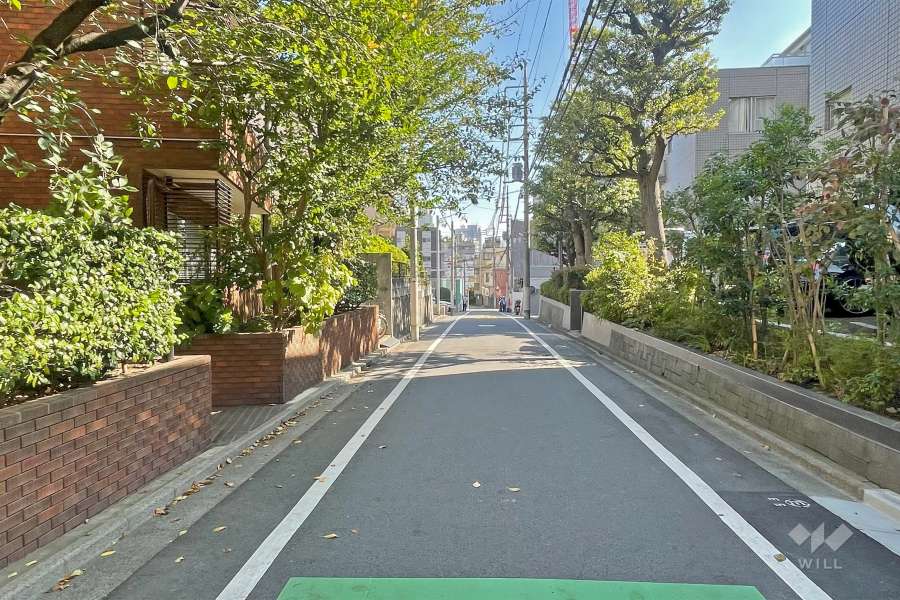 敷地の南側前面道路（西側から）