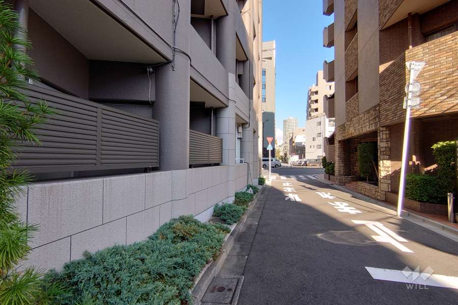 敷地南側の前面道路（西側から）