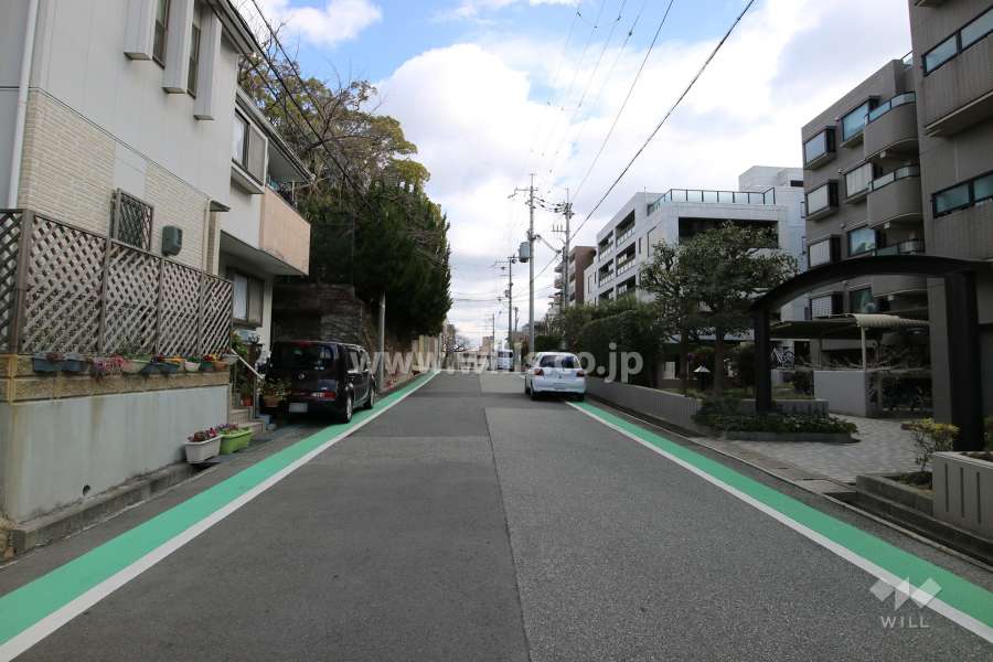 敷地北側の前面道路（西側から）