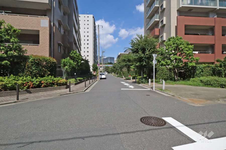 敷地西側の前面道路(南側から)