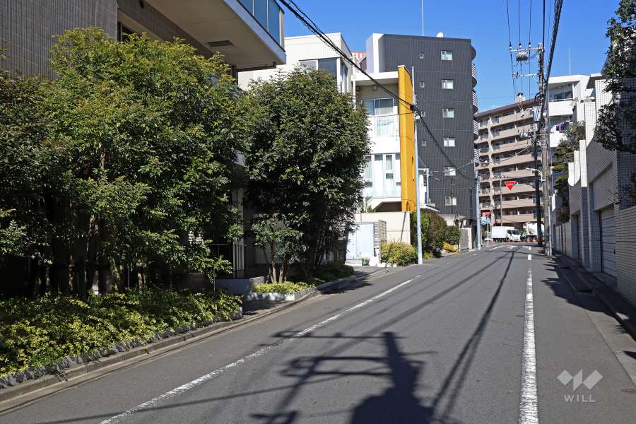 敷地東側の前面道路（南側から）