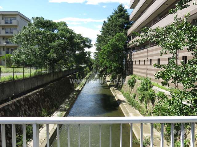 敷地の西側には川西川が流れています。