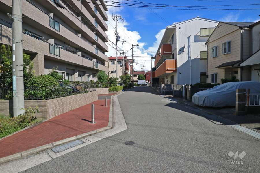敷地南側の前面道路（西側から）