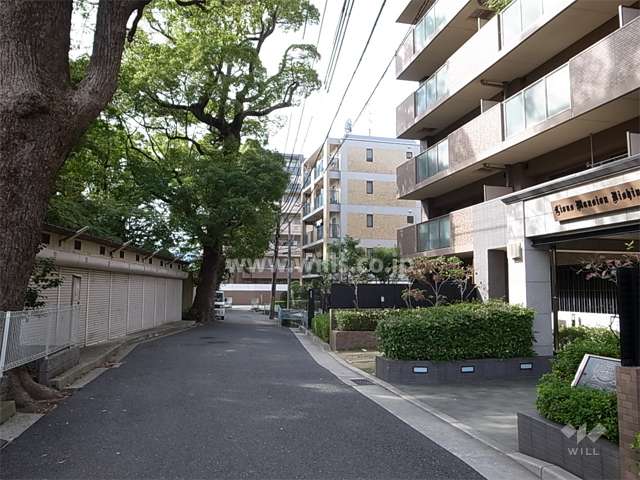 敷地の南側には道を挟んで、『大市八幡神社』があり、緑豊かです。