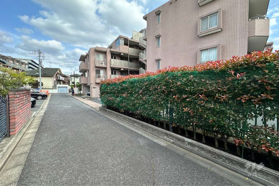 敷地の北側前面道路（西側から）