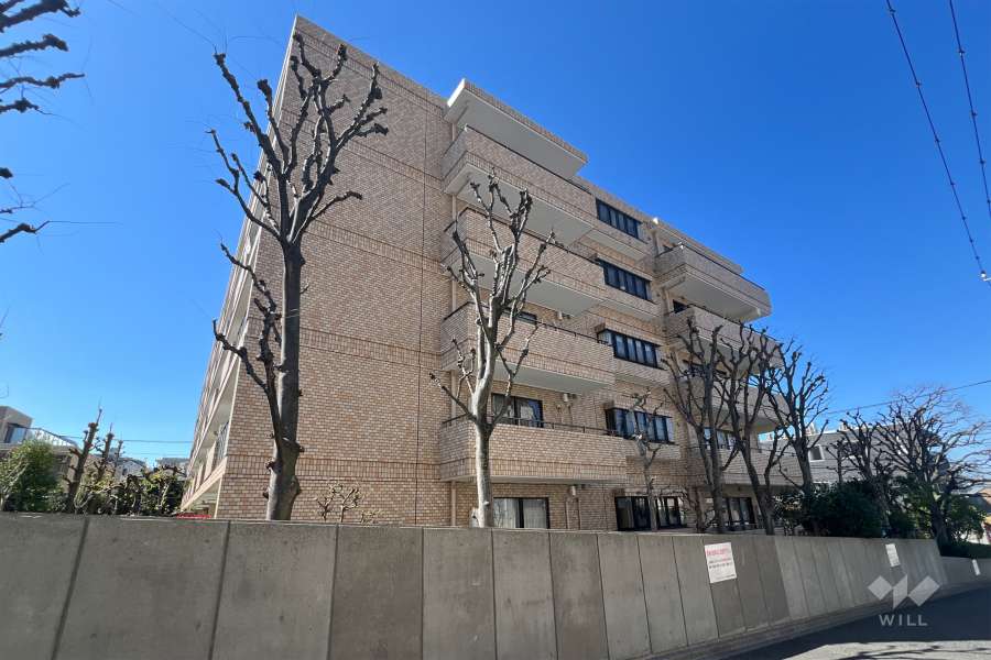 ライオンズガーデン富士見台の外観（南東側から）