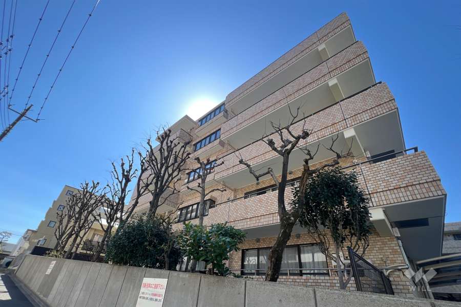 ライオンズガーデン富士見台の外観（北東側から）