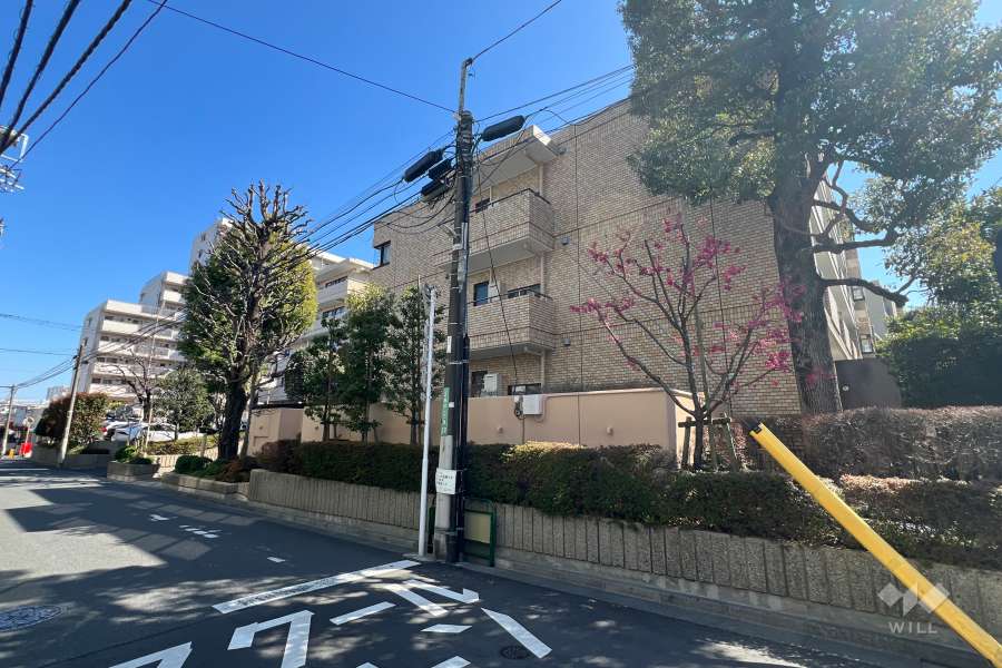 ライオンズガーデン富士見台の外観（北西側から）