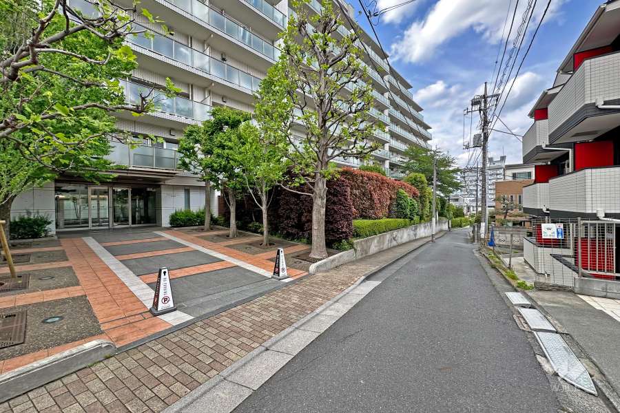 敷地の東側前面道路（南側から）