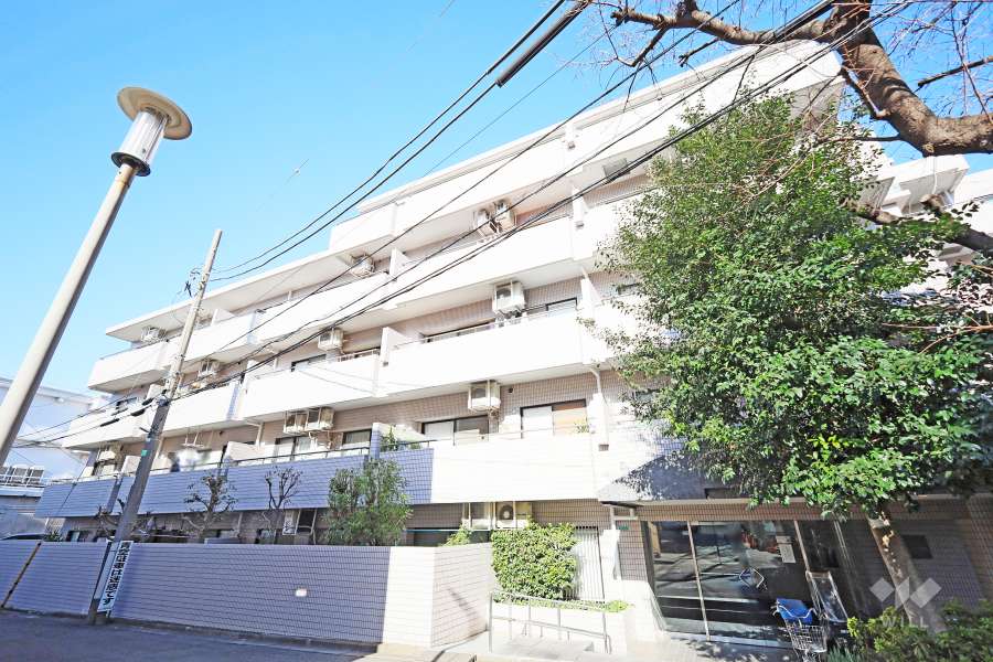 ライツ富士見台の外観（南東側から）