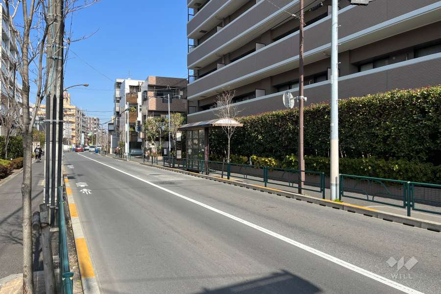 敷地西側の前面道路　