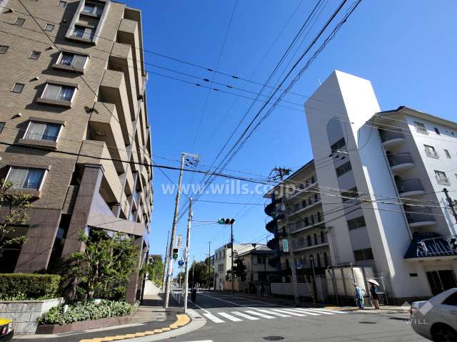 敷地南側の前面道路