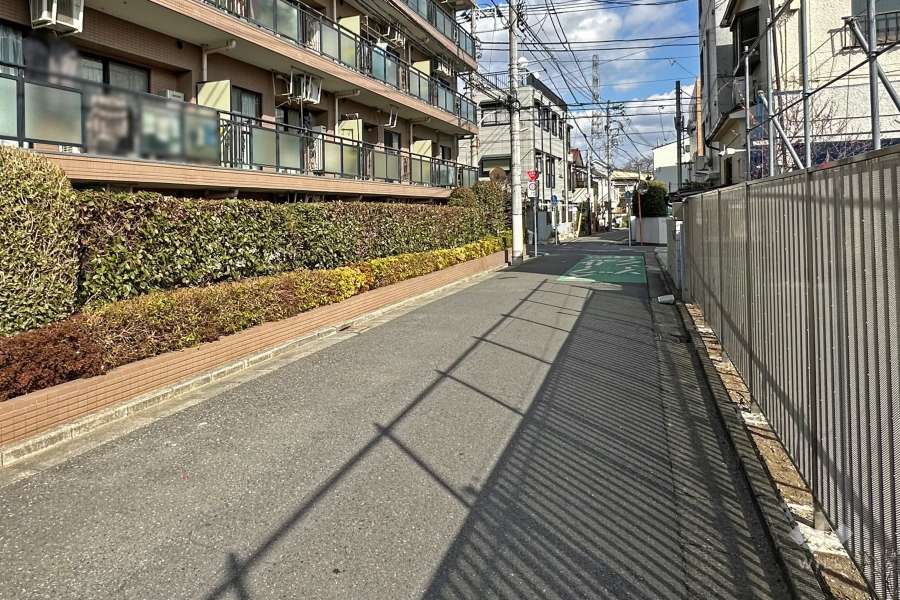 敷地南側の前面道路（西側から）