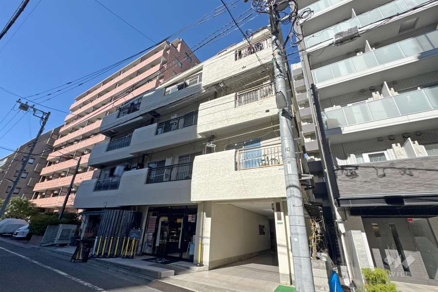 武蔵関サンハイツの外観（南東側から）