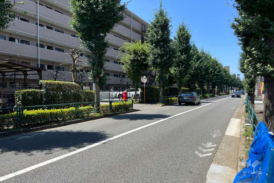 敷地北側の前面道路