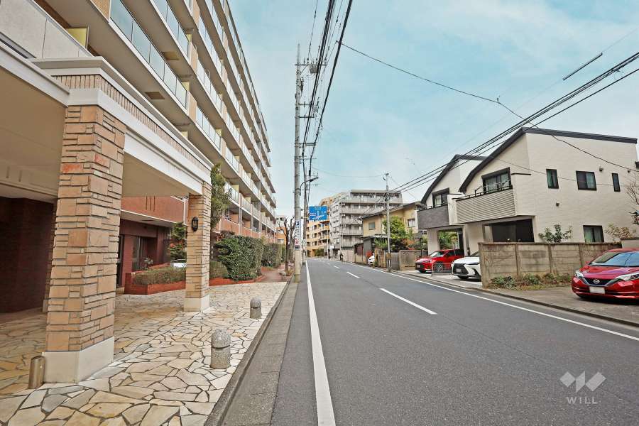 敷地東側の前面道路（南側から）