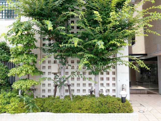 エントランス横の植栽スペース