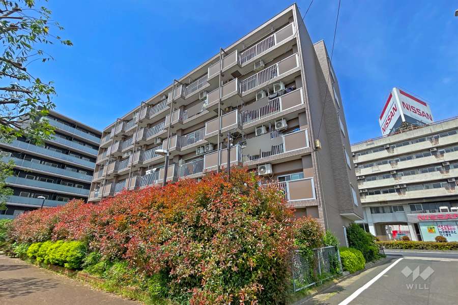 コープ野村練馬錦の外観（南東側から）