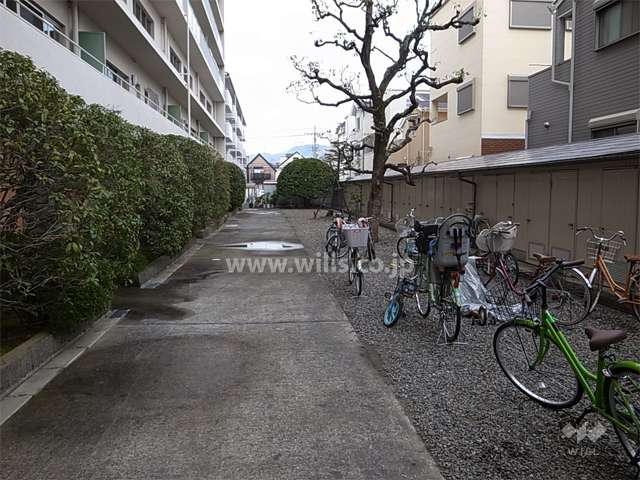 敷地の北側部分。トランクルームが並んでいます。
