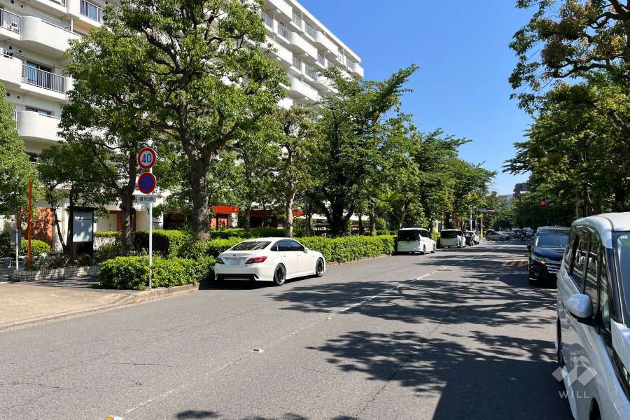 敷地の西側前面道路（北側から）