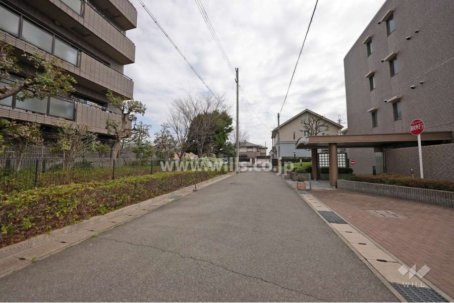 敷地北側の前面道路