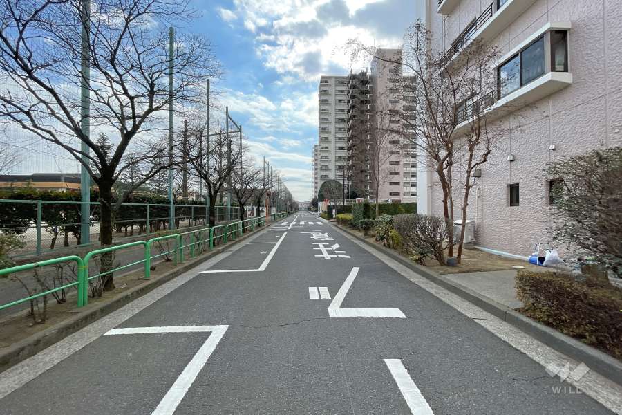 敷地の東側前面道路（北側から）
