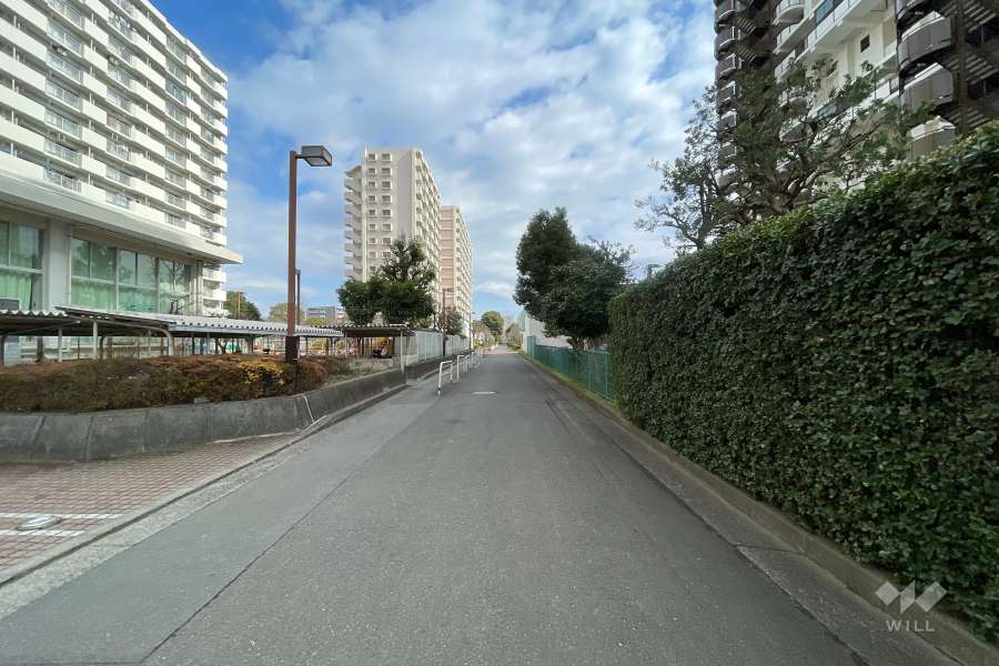 敷地の北側前面道路（西側から）
