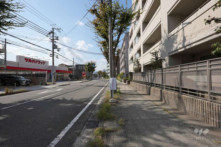 敷地南側の前面道路（東側から）