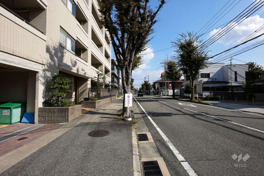 敷地南側の前面道路（西側から）