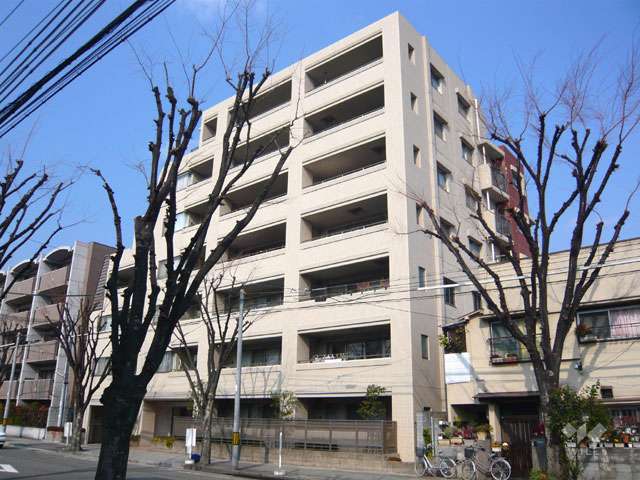 外観（南東側から）