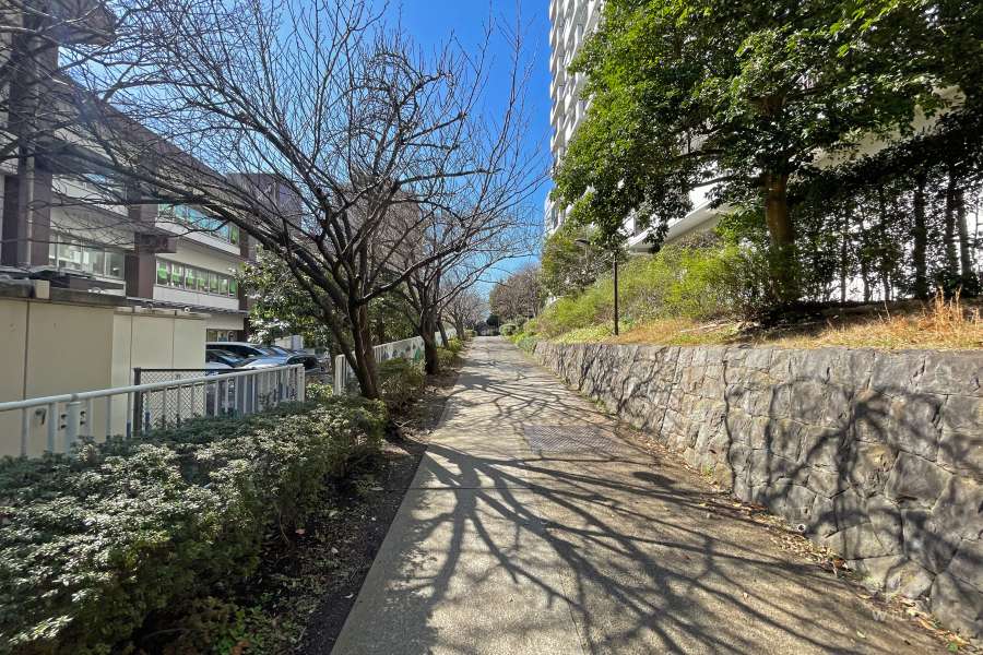 敷地の南側前面道路（東側から）