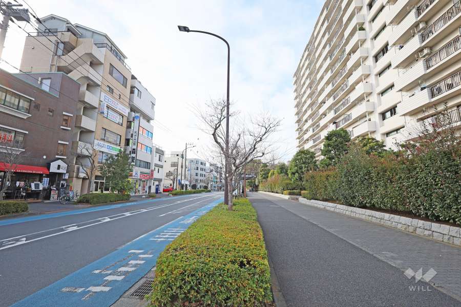 敷地南側の前面道路