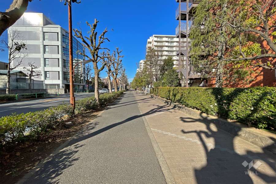 敷地西側の前面道路（南側から）