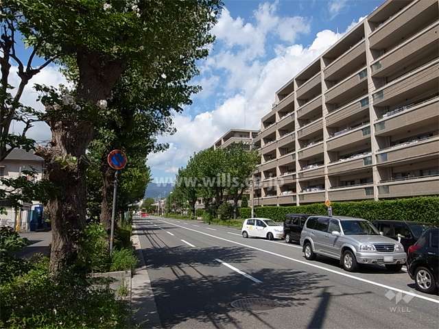 敷地南西側の前面道路。街路樹、歩道のある四車線の通りです。