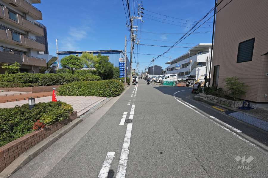 敷地南側の前面道路（西側から）